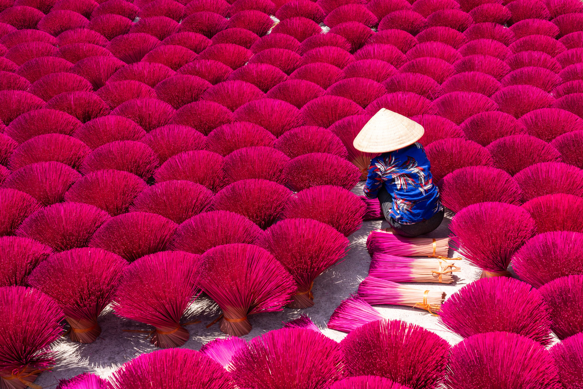 Vietnamese Woman Drying Vietnam Incense Sticks